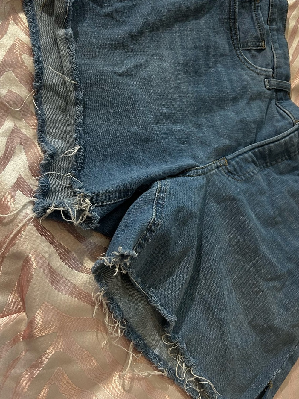 Express Blue Frayed Hem Denim Shorts